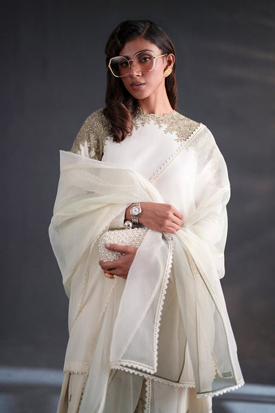 MNR | Chai Coffee Vol II | Mint To Be -  MNR Chai Coffee Vol II - Original Designer Dress - House of Maryam