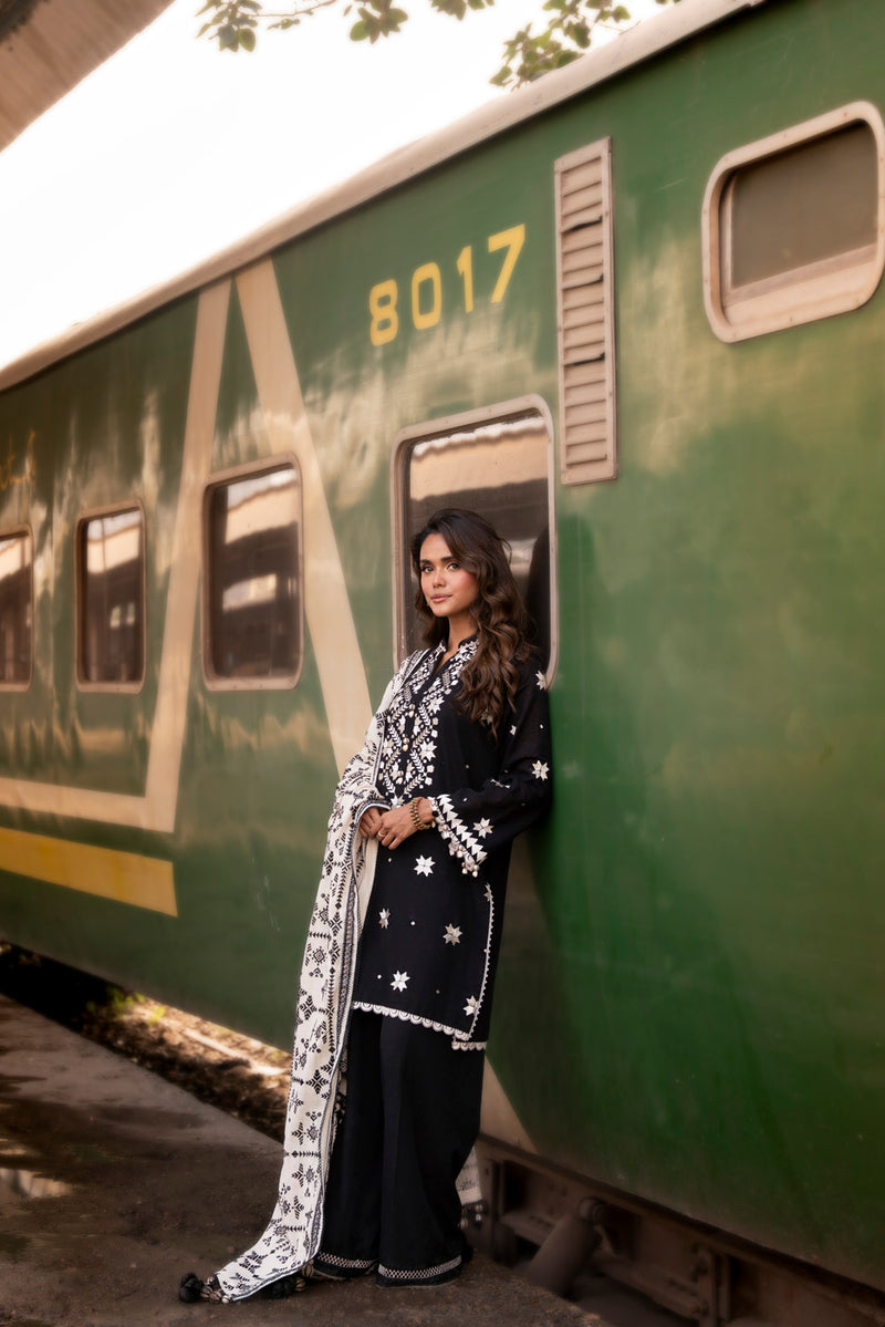 Al Karam | Winter 25 | FW-75.1-25-1-Black -  Al Karam Ladies Clothes - Original Designer Dress - House of Maryam