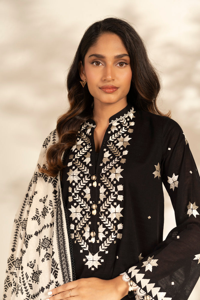 Al Karam | Winter 25 | FW-75.1-25-1-Black -  Al Karam Ladies Clothes - Original Designer Dress - House of Maryam