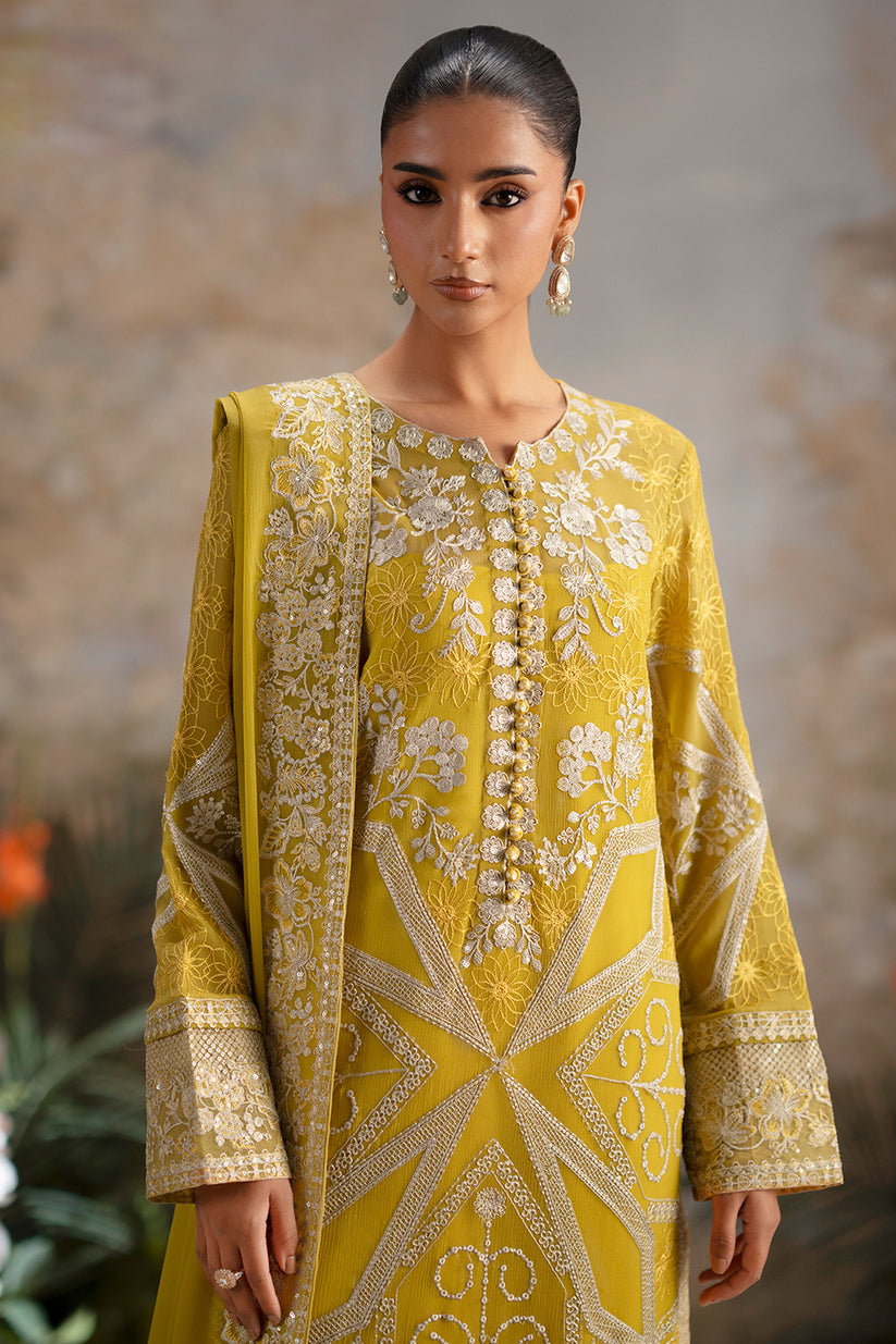Freesia Premium | Luxury Chiffon |OLICHUDAR-4