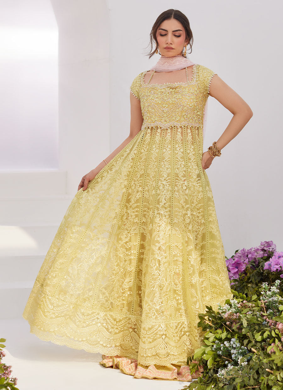 Farah Talib Aziz | Zaza Luxe Pret 24 | REINE KIWI EMBROIDERED EMBELLISHED KALIDAAR -  Farah Talib Aziz Luxury - Original Designer Dress - House of Maryam