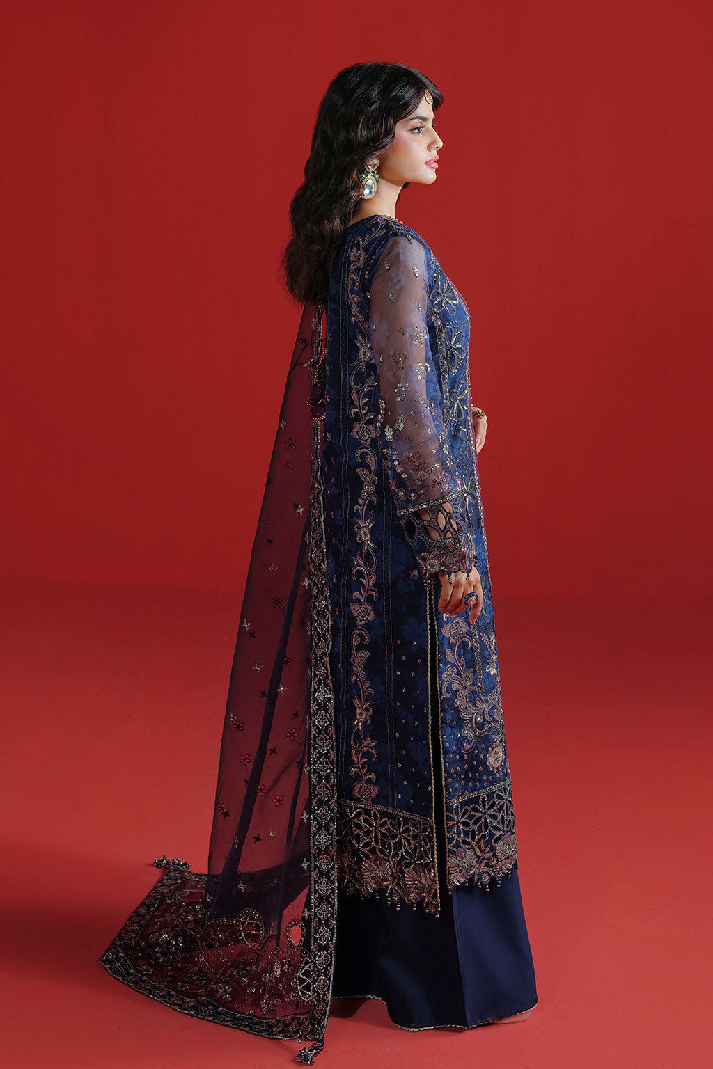 Ramsha | Festive Collection 25 | E-305, image 2