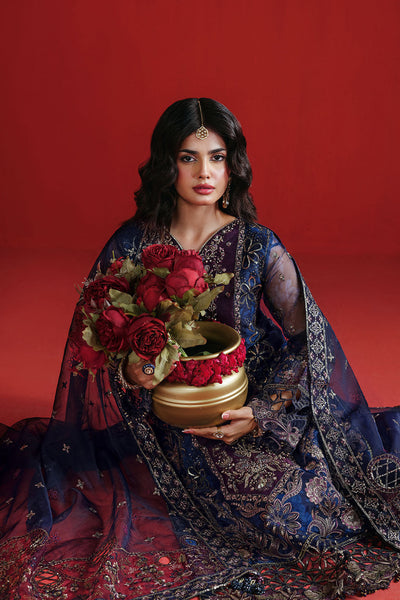 Ramsha | Festive Collection 25 | E-305