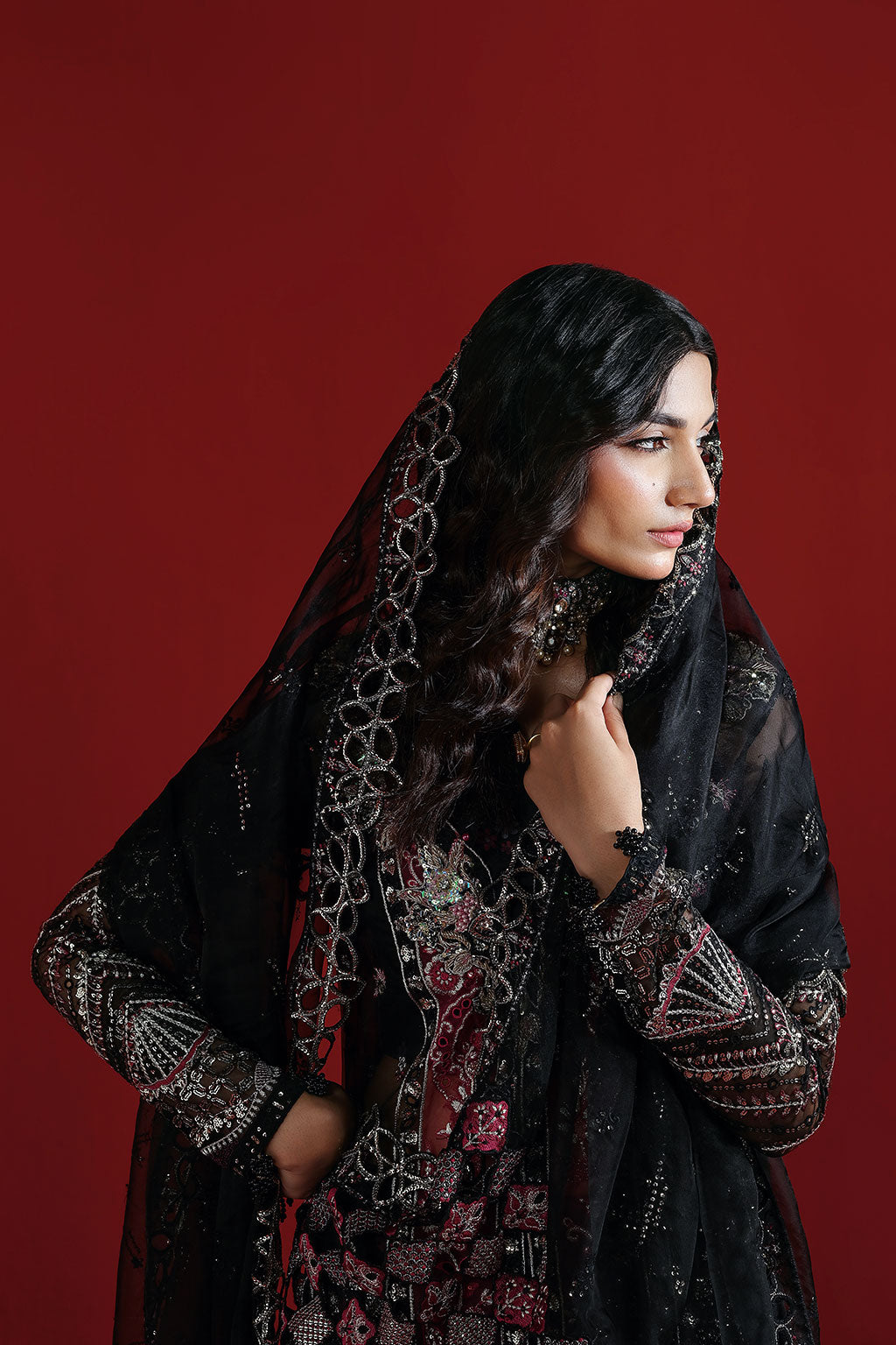 Ramsha | Festive Collection 25 | E-303, image 3