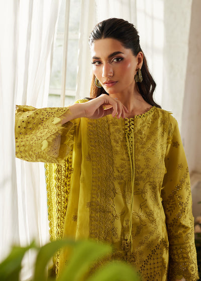 Bin Ilyas | Carnival Summer Edit 25 | Aurelia -  Gulaal Ladies Clothes - Original Designer Dress - House of Maryam