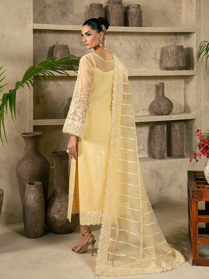 Gulaal | Azira Luxury Formals | AUREVA, image 2