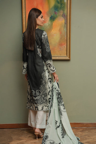 Shamaeel Ansari | Eid Edit 26 | Gul-E-Shab