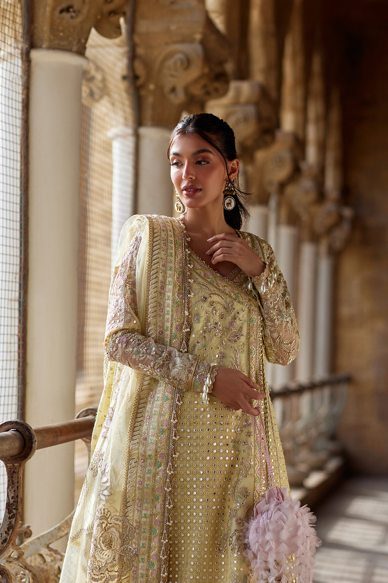 Afrozeh | Dastangoi Wedding Formals | Afsaan, image 5