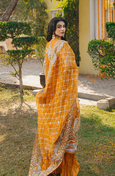 Gisele | Din Shagna Da | Maysa -  Gisele Formal - Original Designer Dress - House of Maryam