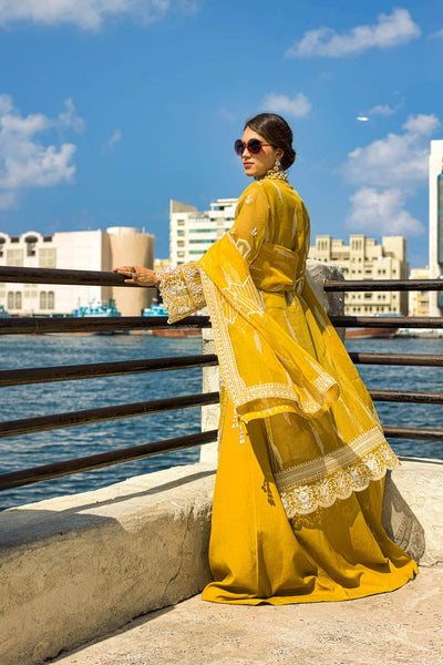 Kara | Kamdani Festive Collection | Glowing Aura -  Kara Ladies Clothes - Original Designer Dress - House of Maryam