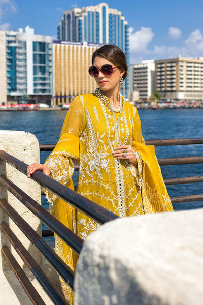 Kara | Kamdani Festive Collection | Glowing Aura -  Kara Ladies Clothes - Original Designer Dress - House of Maryam