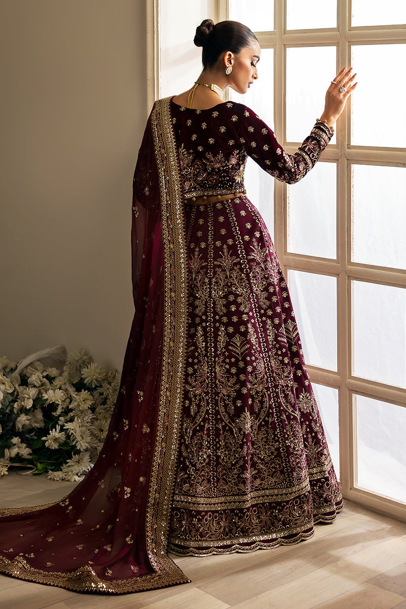 Gulaal | Celeste Velvet 24 | Carmine -  Gulaal Ladies Clothes - Original Designer Dress - House of Maryam