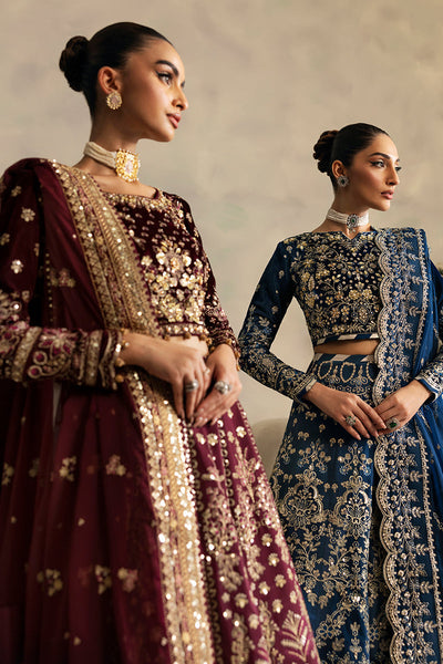 Gulaal | Celeste Velvet 24 | Carmine -  Gulaal Ladies Clothes - Original Designer Dress - House of Maryam