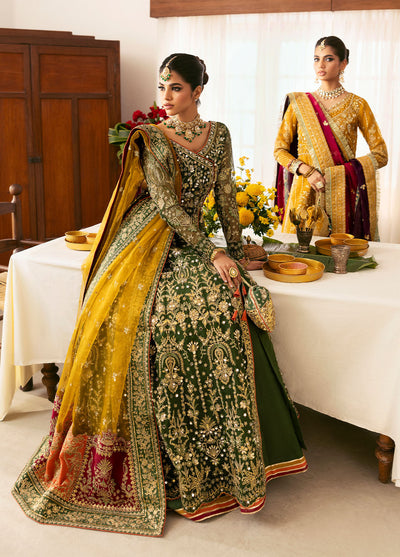Gulaal |  Chaandni Wedding Formals |  Maahru -  Gulaal Ladies Clothes - Original Designer Dress - House of Maryam