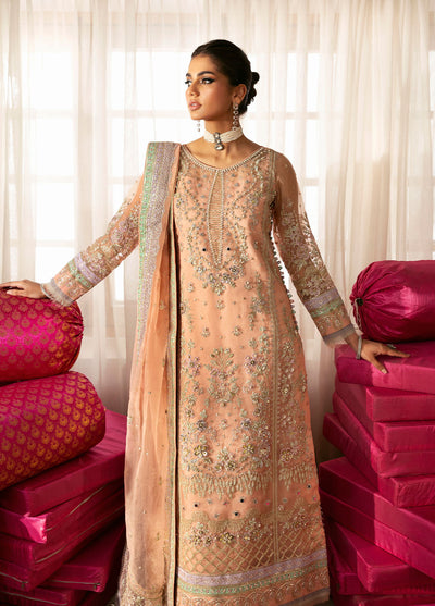 Gulaal |  Chaandni Wedding Formals | Raniya -  Gulaal Ladies Clothes - Original Designer Dress - House of Maryam