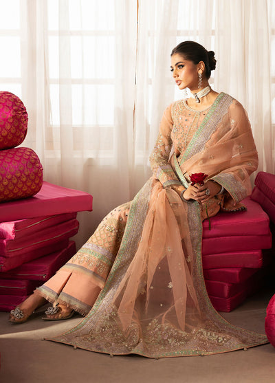 Gulaal |  Chaandni Wedding Formals | Raniya -  Gulaal Ladies Clothes - Original Designer Dress - House of Maryam