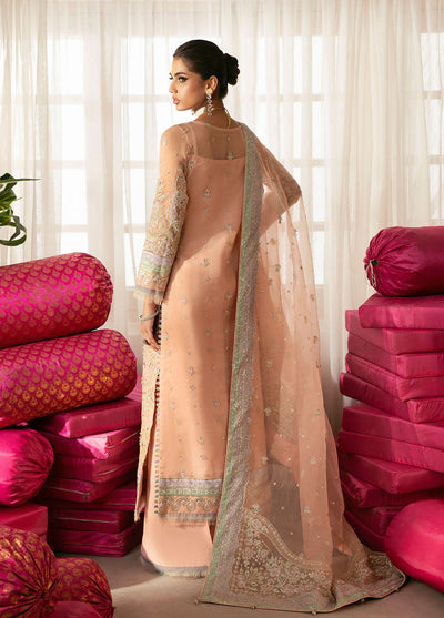Gulaal |  Chaandni Wedding Formals | Raniya -  Gulaal Ladies Clothes - Original Designer Dress - House of Maryam