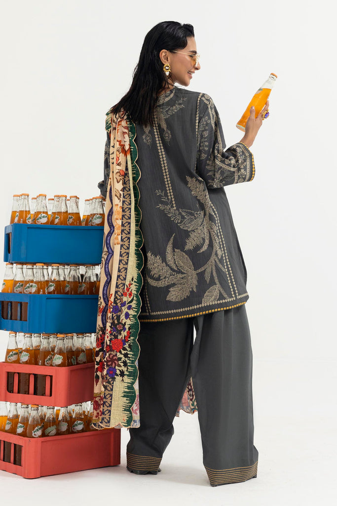 Sana Safinaz | Mahay Winter 25 | H255-005A-3CQ, image 2
