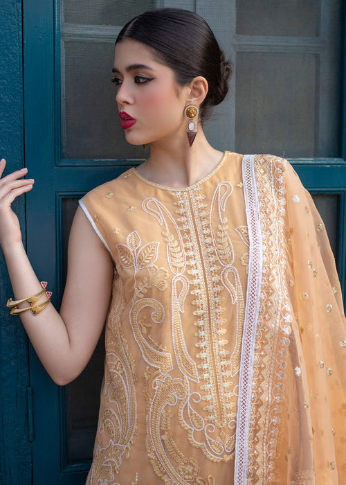 Ali Xeeshan | Chanda Luxury Pret | Inara -  Ali Xeeshan Ladies Clothes - Original Designer Dress - House of Maryam