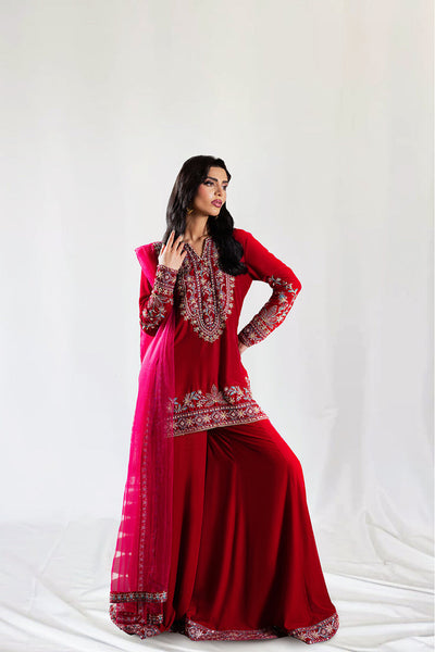 Saira Rizwan | Velvet Pret 25 | SHIREEN-SRVP25-04