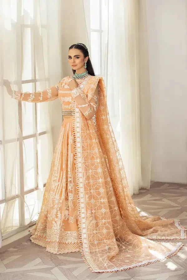 House of Nawab | Gul Mira Luxury Collection 23 | Meshki by Designer House of Nawab - House of Maryam - Pakistani Designer Ethnic Wear in {{ shop.shopifyCountryName }}