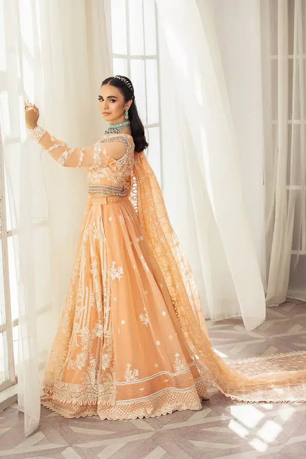 House of Nawab | Gul Mira Luxury Collection 23 | Meshki by Designer House of Nawab - House of Maryam - Pakistani Designer Ethnic Wear in {{ shop.shopifyCountryName }}