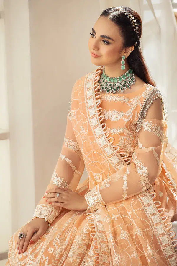 House of Nawab | Gul Mira Luxury Collection 23 | Meshki by House of Nawab - House of Maryam