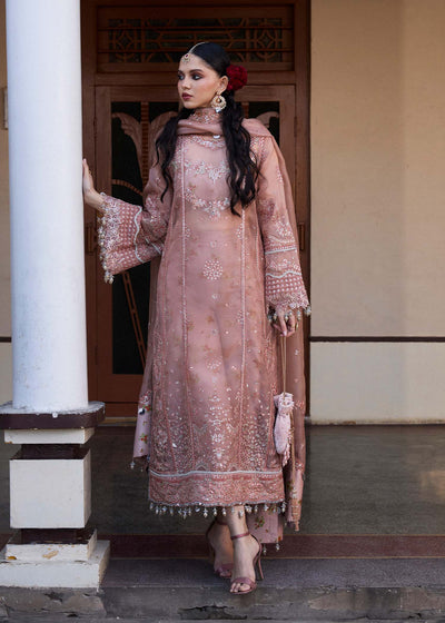 Hussain Rehar | Darlings Festive 25 | Danara -  Hussain Rehar Ladies Clothes - Original Designer Dress - House of Maryam