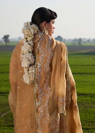 Hussain Rehar | Darlings Festive 25 | Sundal -  Hussain Rehar Ladies Clothes - Original Designer Dress - House of Maryam