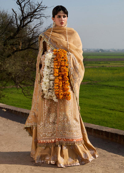 Hussain Rehar | Darlings Festive 25 | Sundal -  Hussain Rehar Ladies Clothes - Original Designer Dress - House of Maryam