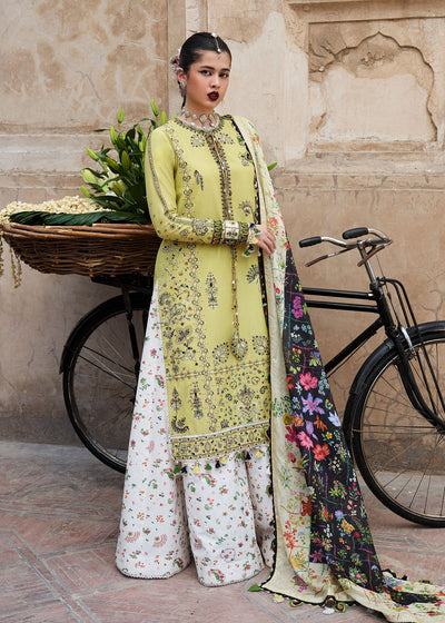 Hussain Rehar | Nirmal SS 25 | Suk -  Hussain Rehar Ladies Clothes - Original Designer Dress - House of Maryam