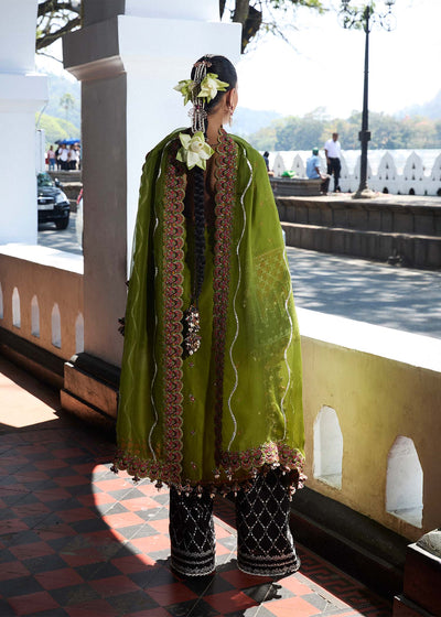 Hussain Rehar | Luxury Lawn 25 | Abass -  Hussain Rehar Ladies Clothes - Original Designer Dress - House of Maryam