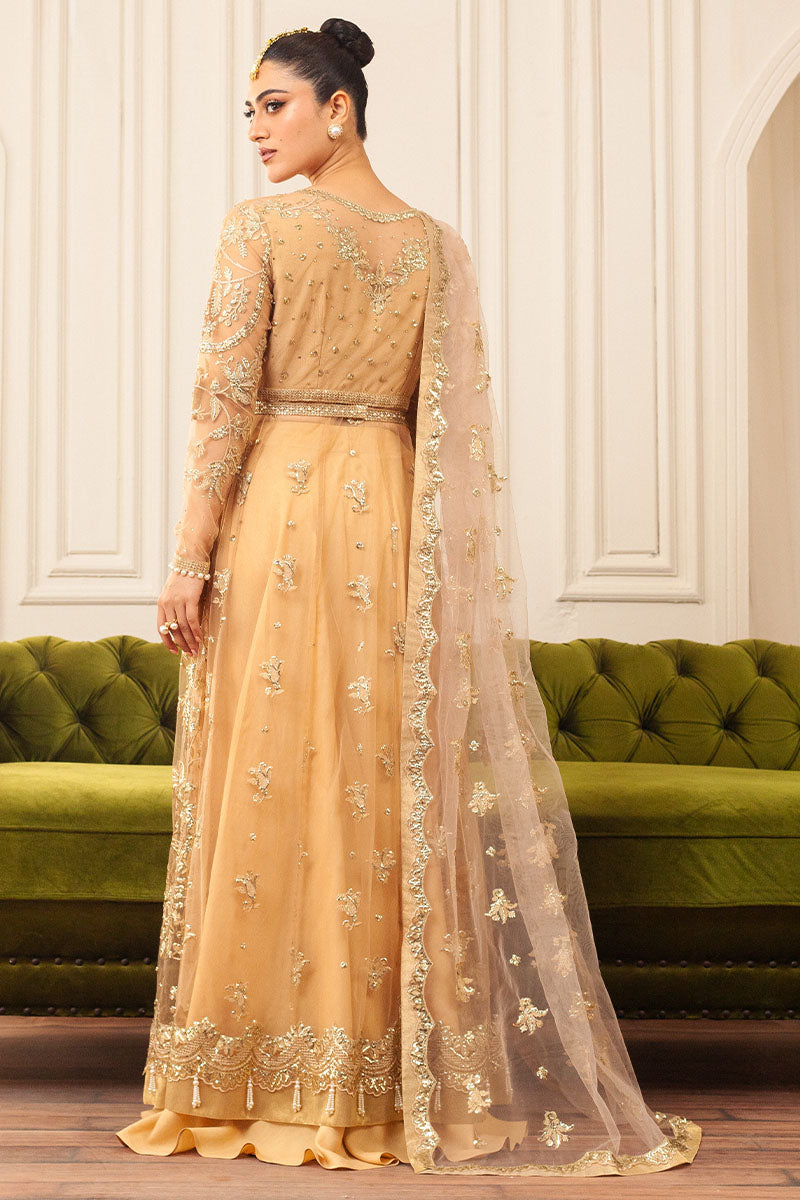 Mushq | Hemline Aura Debut Wedding Formals | CHAMOIS by Designer Mushq - House of Maryam - Pakistani Designer Ethnic Wear in {{ shop.shopifyCountryName }}