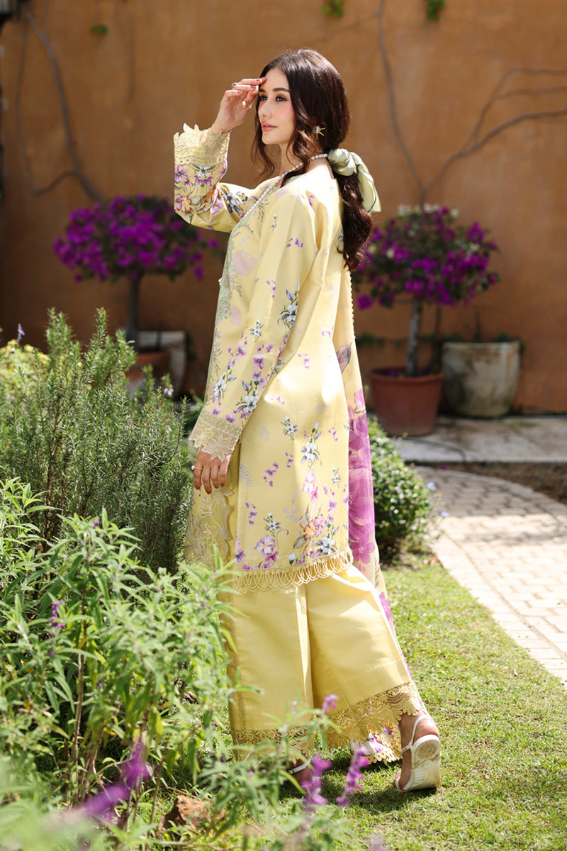 Rangrasiya | Lifestyle Summer 26 | Hazel-2
