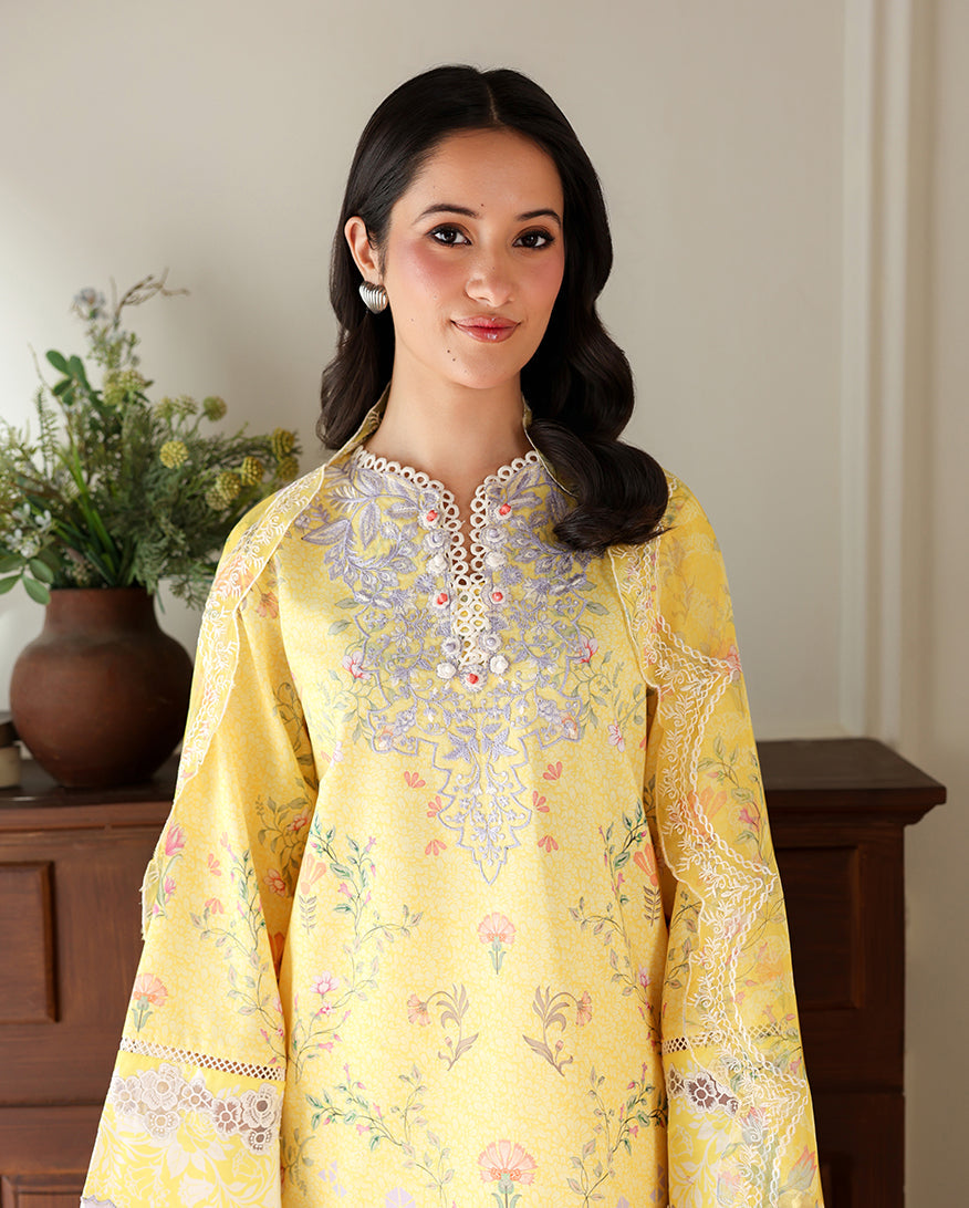 Roheenaz | Sunlit Tales Printed Embroidered Edit | Honey Haze, image 4