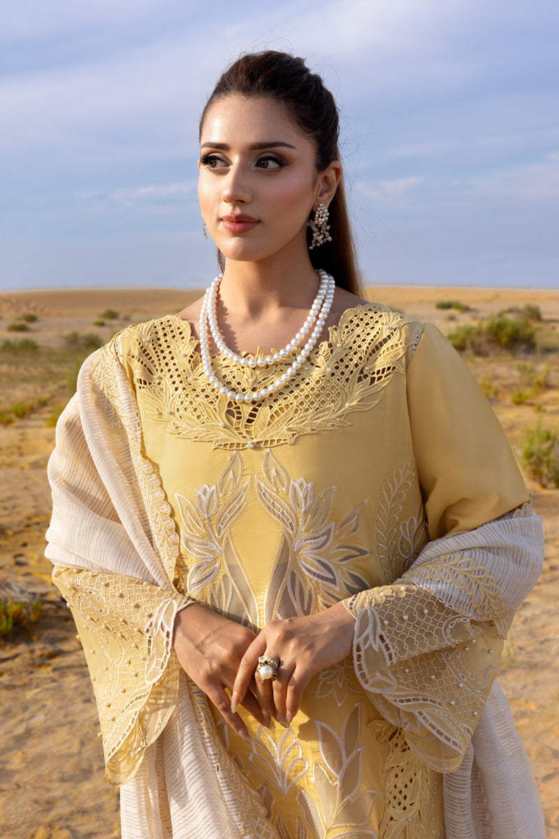 Rangrasiya | Premium Summer Collection 26 | Hoorain by Rang Rasiya, image 3