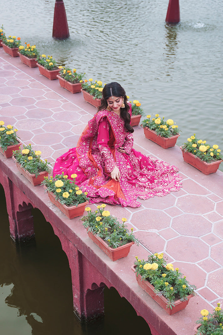 Imrozia Premium | Sajal Bridals | I-259 Rang-e-Husn-6