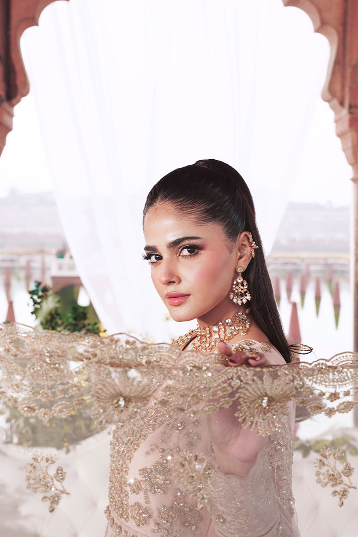 Imrozia Premium | Sajal Bridals | I-265 Meherbano-3