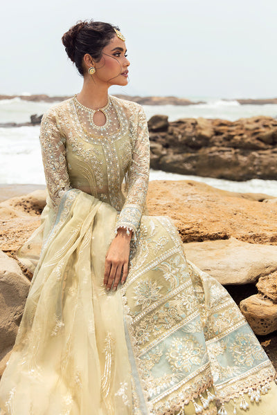 Afrozeh | Dastangoi Wedding Formal'24 | AWE-09 LEELA -  Afrozeh Bridal - Original Designer Dress - House of Maryam