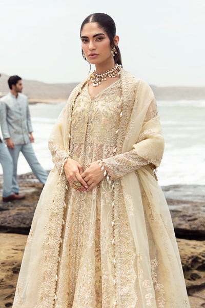 Afrozeh | Dastangoi Wedding Formal'24 | AWE-06 AROOHI -  Afrozeh Bridal - Original Designer Dress - House of Maryam