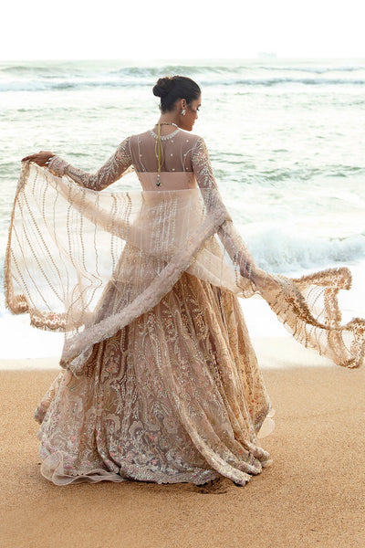Afrozeh | Dastangoi Wedding Formal'24 | AWE-08 AFSHEEN -  Afrozeh Bridal - Original Designer Dress - House of Maryam