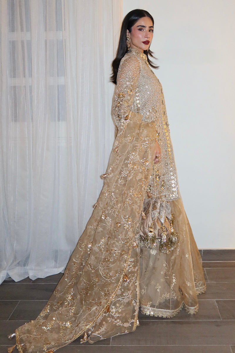 MNR | Zarlish Festive 25 | Rija Mujahid in Roshni