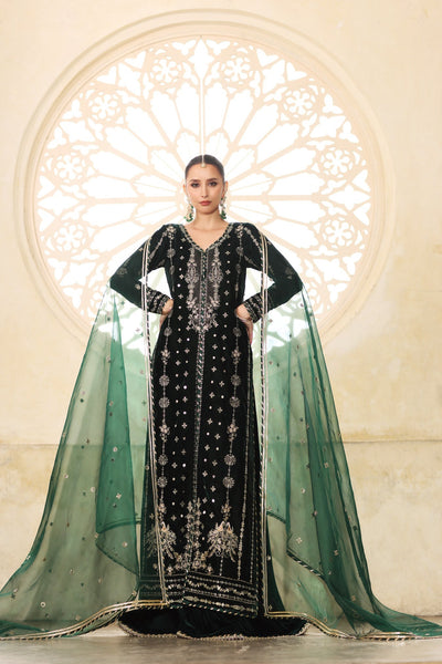 Noor by Saadia Asad | Handcrafted Velvet 25 |Zamurrud