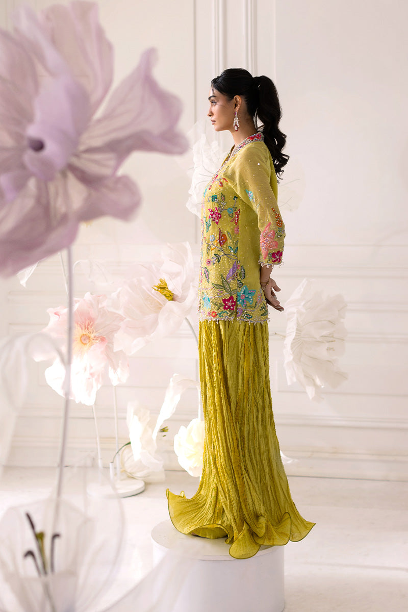 Mina Hassan | Festive Dholki 25 | Fari-5