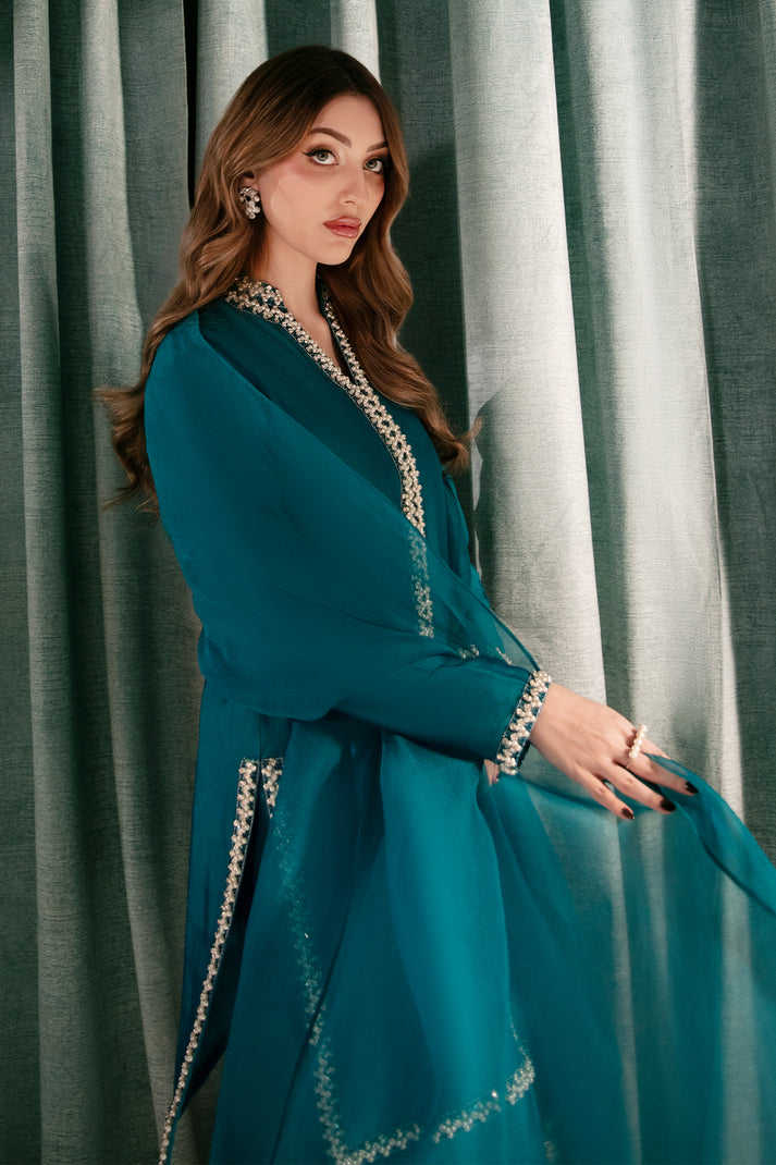 Raja Salahuddin | House of Mina |Bling -  Raja Salahuddin Ladies Clothes - Original Designer Dress - House of Maryam