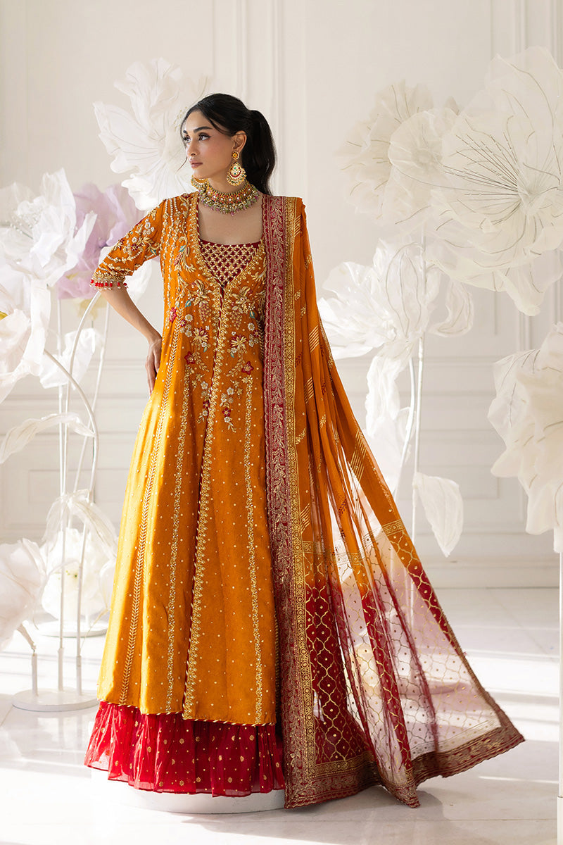 Mina Hassan | Festive Dholki 25 | Afra-5