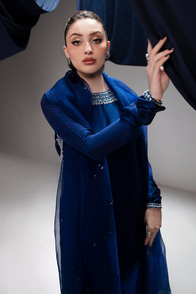 Raja Salahuddin | House of Mina | Diva -  Raja Salahuddin Ladies Clothes - Original Designer Dress - House of Maryam