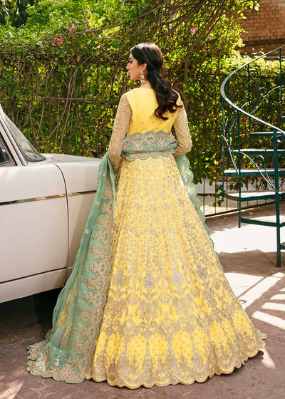 Akbar Aslam | Formals | Ilona