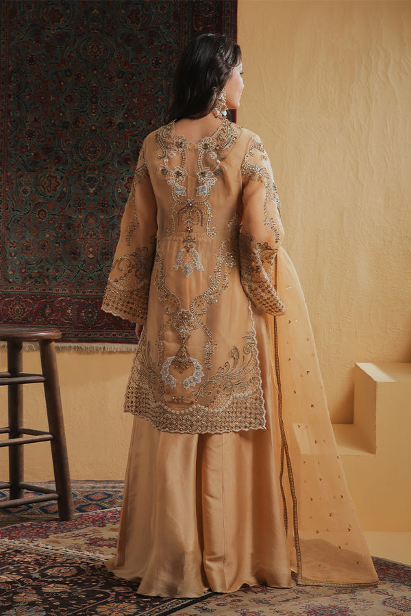 Shamaeel Ansari | Majestic Legacy | Amber Elixir, image 2
