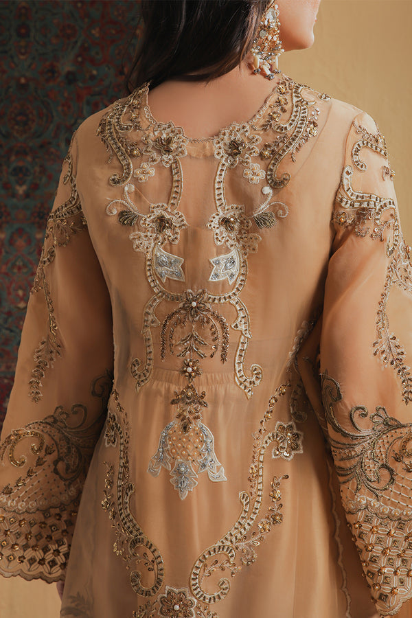 Shamaeel Ansari | Majestic Legacy | Amber Elixir, image 5